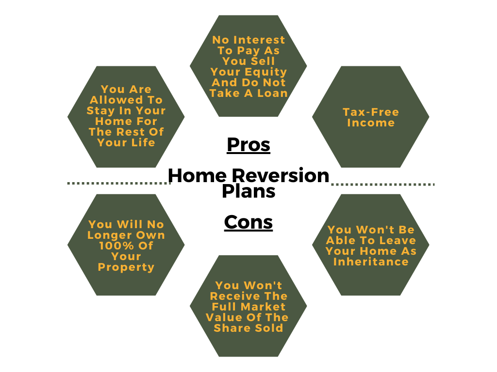 equity release pros and cons