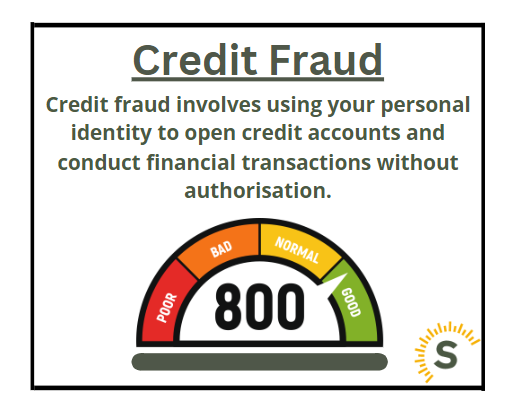 credit fraud infographic